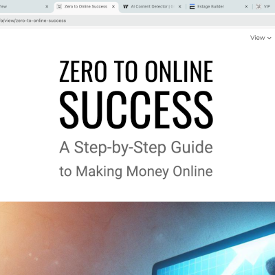 Zero to Online Success